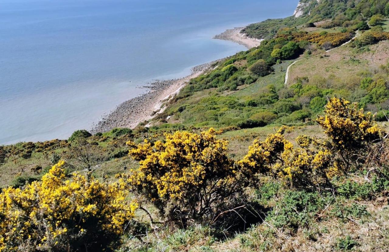 Elegant Spacious Seaside Apartment St Leonards-on-Sea Eksteriør bilde